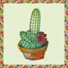 Rainbow Cactus Iii Poster Print by Marie Elaine Cusson - Item # VARPDXRB12260MC