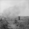 Vietnam War. Us Army Soldier Directs A Helicopter To Pick Up Soldiers Injured After A Parachute Drop In South Vietnam. Oct. 1966. History - Item # VAREVCHISL033EC537
