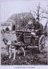 A Market Team In Flanders. Two Dogs About To Pull A Loaded Cart With Two Adult Passengers. Ca. 1900-1910. Belgiumlandofart00Grif0041 History - Item # VAREVCHISL022EC240