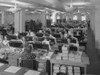 A Room Full Of Women Card Punch Operators Working On The 1940 Census. - History - Item # VAREVCHISL039EC508