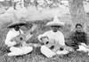 Folk Music. Musical Picnic History - Item # VAREVCHCDLCGBEC756