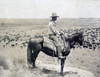 A Texas Cowboy On Horseback On A Knoll Looking Down At A Herd Of Cattle On The Range History - Item # VAREVCHCDLCGCEC766