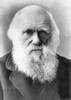 Charles Darwin History - Item # VAREVCPBDCHDACS002