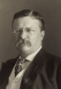 President Theodore Roosevelt History - Item # VAREVCHISL044EC974