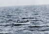 One Of The Titanic Lifeboats As Seen From The Carpathia On The Morning Of April 15 History - Item # VAREVCHISL011EC284