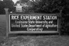 Sign Of An Experimentation Station In Louisiana Reads 'University Of Louisiana And The Department Of Agriculture History - Item # VAREVCHISL009EC154