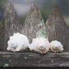 Beach Treasures Poster Print by Laura Marshall - Item # VARPDX38777