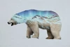 The Arctic Polar Bear Poster Print by Davies Babies - Item # VARPDXD1076D