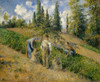 The Harvest Fine Art