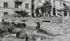 Citizens Of Leningrad Erecting Trenches And Shelters Against German Bombardment. The Soviet City Was Under Siege From Sept. 8 History - Item # VAREVCHISL037EC715