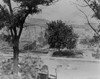 Rubble Of Houses In African American Neighborhood Of Greenwood In Tulsa History - Item # VAREVCHISL040EC899