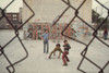 Three Boys At Play In Brooklyn'S Lynch Park With Graffiti Art Spelling Out 'A-Train.' Ca. 1973-75. History - Item # VAREVCHISL031EC234