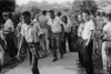African American School Integration Conflicts History - Item # VAREVCHCDLCGAEC855