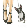 Furry Fashion Friends Ii Poster Print by Emily Adams - Item # VARPDX37318