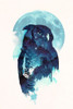 Midnight Owl Poster Print by Robert Farkas - Item # VARPDXF676D