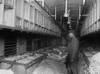 Railway Post Office Clerks Sorting Mail Aboard A Customized Rail Car In 1924. Rpo Clerks Spent Days Away From Home History - Item # VAREVCHISL042EC978