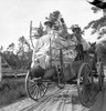 Family Moving Belongings In The North Florida Turpentine Pine Forest History - Item # VAREVCHISL035EC651