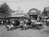 The Goat Carriages In Front Of The Zoo History - Item # VAREVCHCDLCGDEC076