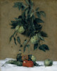 Fruit Fine Art