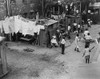 African American Children Playing Baseball In An Alley. The Washington Dc Slum History - Item # VAREVCHISL033EC656