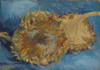 Sunflowers Fine Art
