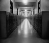 U.S. Government Hallway Lined With File Cabinets History - Item # VAREVCHISL035EC821