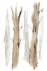 Wandering I Poster Print by Corrie Golden - Item # VARPDXPOD60473