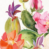 Desert Rose Ii Poster Print by Kristy Rice - Item # VARPDX38788