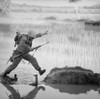 Vietnam War. A Us Marine Rifleman Leaps Across A Break In A Rice Paddy Dike During A Search And Destroy Mission Of Operation Colorado. Aug. 15 History - Item # VAREVCHISL033EC536