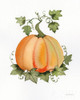 Pumpkin And Vines Ii Poster Print by Kathleen Parr McKenna - Item # VARPDX38710