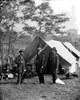 The Civil War History - Item # VAREVCHCDCIWAEC004