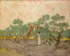 Women Picking Olives Fine Art - Item # VAREVCHISL044EC881