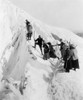 Group Of Men And Women Climbing Paradise Glacier In Mt. Rainier National Park History - Item # VAREVCHISL002EC210