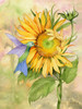 Summer Fun Bird Poster Print by Kathleen Parr McKenna - Item # VARPDX37044