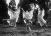 Dancers From The National American Ballet In Grecian Costumes Perform In A Wooded Glade History - Item # VAREVCHISL045EC702