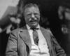 Theodore Roosevelt History - Item # VAREVCP4DTHROEC012