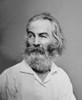 Walt Whitman American Poet History - Item # VAREVCHISL002EC295