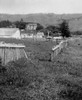 A Fence Was Displaced 8.5 Feet Near The San Andreas Fault After The April 1906 Earthquake. Photo Was Made A Mile Northwest Of Woodville History - Item # VAREVCHISL046EC253