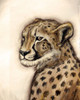 Cheetah Portrait Poster Print by Tre Sorelle Studios - Item # VARPDXRB12112TS