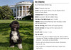 Combined Front And Back View Of The 'Bo' Baseball Card With His Official White House Portrait. History - Item # VAREVCHISL026EC019