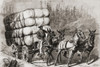 African American Teamster Transporting A Heavy Load Of Twenty Eight Bales Of Cotton To Market. After The U.S. Civil War And Reconstruction History - Item # VAREVCHISL009EC288