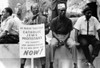 Civil Rights History - Item # VAREVCHCDLCGBEC333