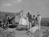 Day Laborers Wait As White Plantation Owner'S Young Daughter Weighs Their Picked Cotton History - Item # VAREVCHISL035EC758