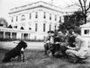 Fdr'S Dog History - Item # VAREVCHISL035EC507