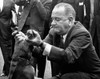 President Lyndon Johnson Pulls The Ears Of One Of His Pet Beagles History - Item # VAREVCCSUA000CS718