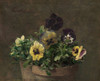 Potted Pansies Fine Art