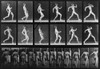 Consecutive Images Of A Nude Man Running. From Eadweard Muybridge'S History - Item # VAREVCHISL012EC084