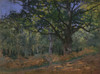 The Bodmer Oak Fine Art - Item # VAREVCHISL044EC582