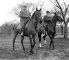 President Taft And General Clarence Edwards Riding Horses In 1909. Edwards Served In The Philippines History - Item # VAREVCHISL002EC081