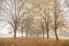 Autumns Peace Poster Print by Assaf Frank - Item # VARPDX50160